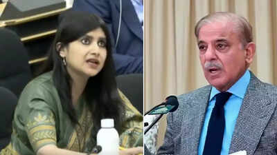 ‘Living in la-la land’: India slams Pakistan’s ‘incessant propaganda’ at UN | India News