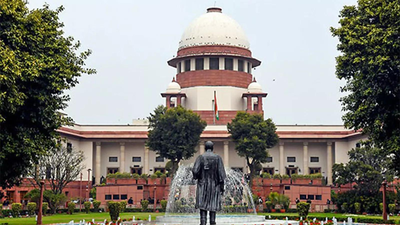 HC judges cannot assume role of domain experts: Supreme Court | India News