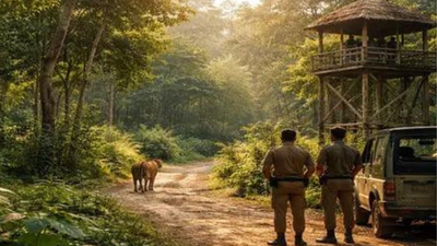 Not all humans are equally frightening to wildlife, says new study | India News