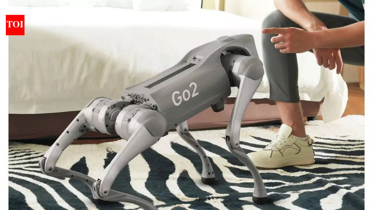 Galgotias University robot controversy at India AI Impact Summit: All you need to know about Chinese robot University showcased as own