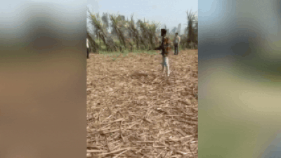 Meerut Murder: A chilling confession, 3 gunshots and tense standoff: UP man kills wife’s lover — here’s what happened next | Meerut News