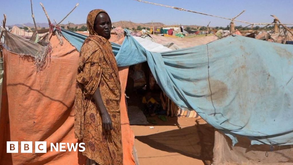 UN says Sudan atrocities are 'hallmarks of genocide'