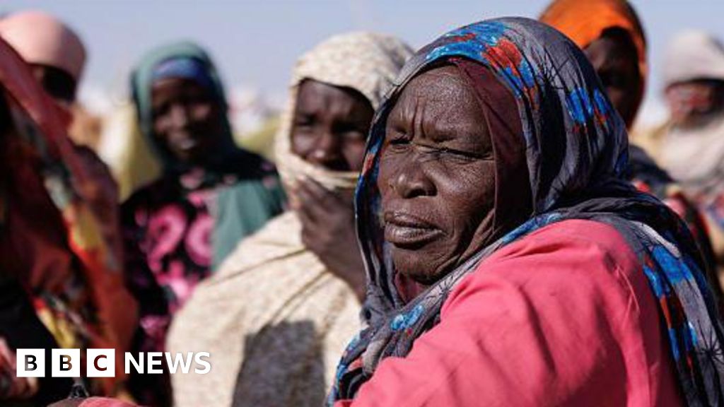 Chad shuts border with Sudan to stop conflict spreading