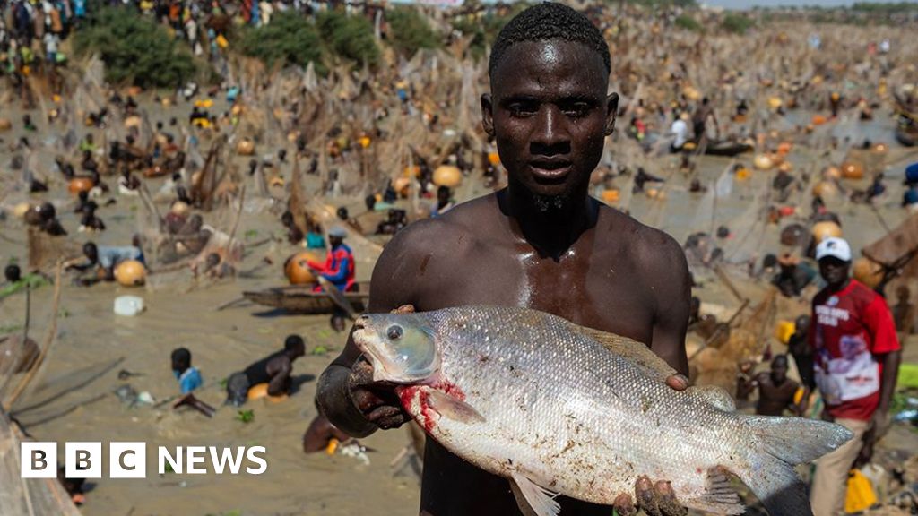 Catch of the day: Pictures from spectacular Nigerian fishing festival