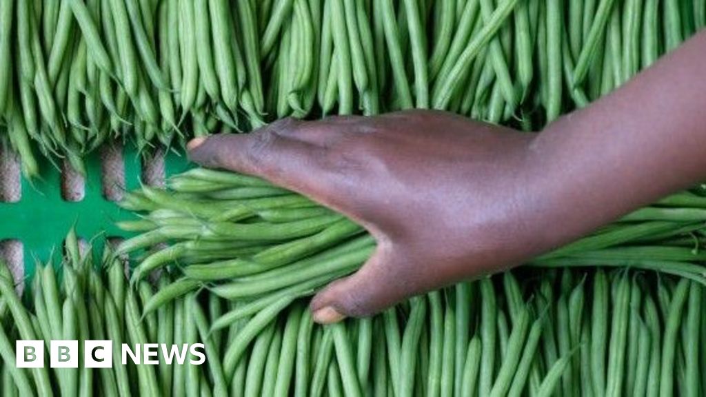 The two farms in Senegal that supply many of the UK’s vegetables
