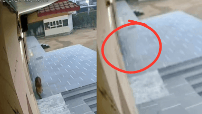 Ghaziabad Leopard In School: Big cat on campus! Exams postponed after leopard enters Ghaziabad school — watch | Ghaziabad News