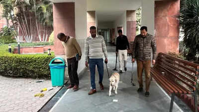 Mohali schools receive bomb threat mails, Fortis Hospital also mentioned where CM Bhagwant Mann is hospitalised | Chandigarh News