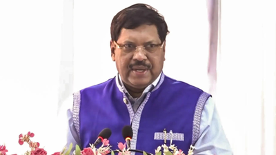 Ex-CJI Gavai says ONOE bill does not violate constitution’s basic structure | India News