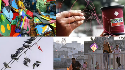 Deadly thread in the sky: Why Chinese manjha remains a killer | Delhi News