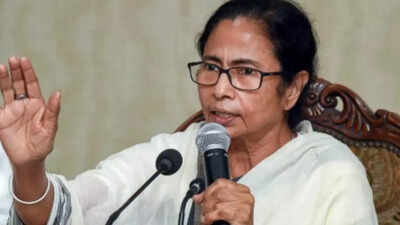 ‘Arrogant, liar’: Mamata attacks EC chief after SIR meet, asks why Bengal being targeted | India News