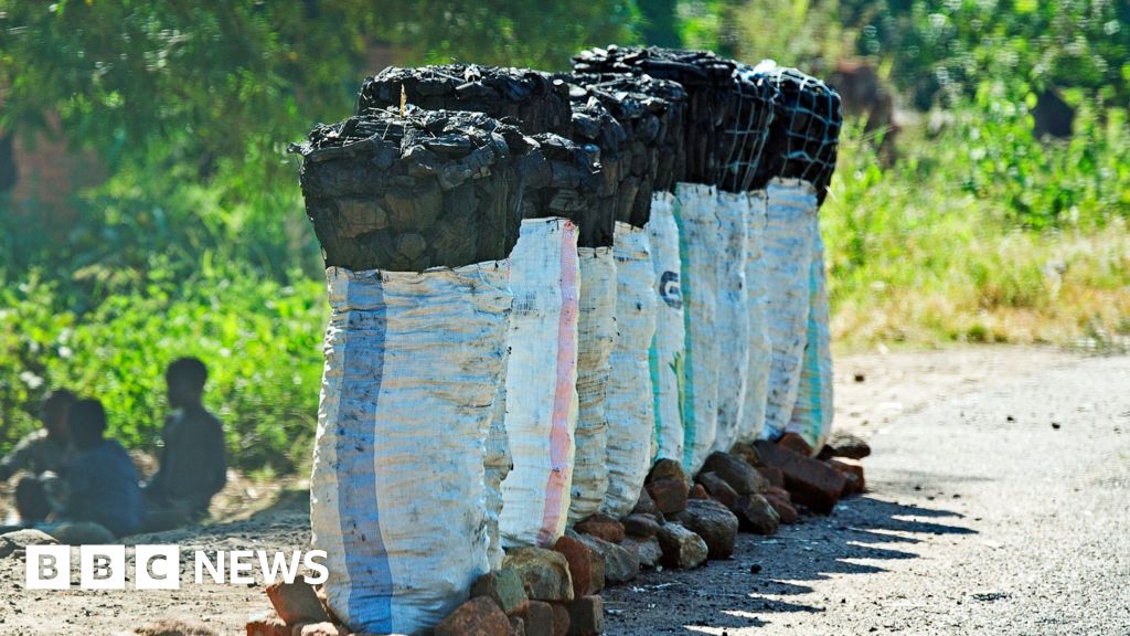 Malawi launches search for suspects in fake funeral charcoal smuggling