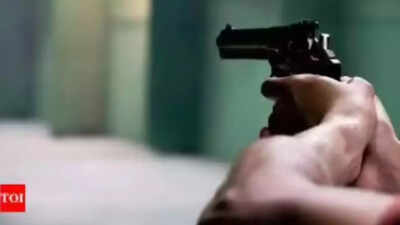 One LED light glitches at wedding venue, electrician shot dead in Gurgaon | Gurgaon News