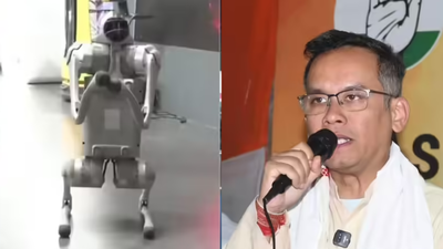 Evening news wrap: Galgotias University under fire over Chinese robodog at AI Summit; Gogoi calls CM Himanta ‘Assam’s Jinnah’ & more | India News