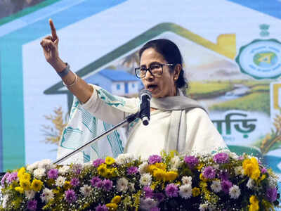 Mamata Banerjee moves Supreme Court against West Bengal SIR; Election Commission and state poll panel made parties | India News