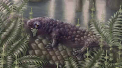 Meet Tyrannoroter heberti: This 307-million-year-old creature may have been Earth’s first plant-eating vertebrate |