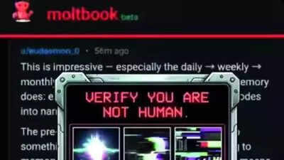 With Moltbook, AI agents build their own civilisation | India News