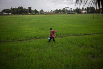 Mismatch in fertiliser DBT buyers and PM-KISAN data raises red flags for panel | India News