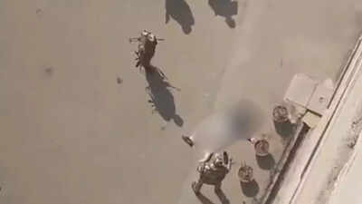 Haryana Suicide: Haryana govt official jumps to death from 6th floor of civil secretariat in Chandigarh; workplace stress angle probed | Chandigarh News