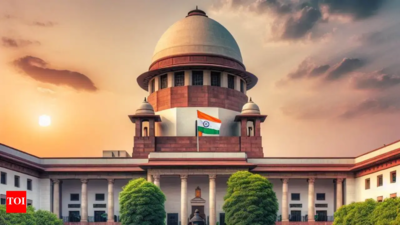 Husband or parents’ income for OBC creamy layer? SC to rule | India News