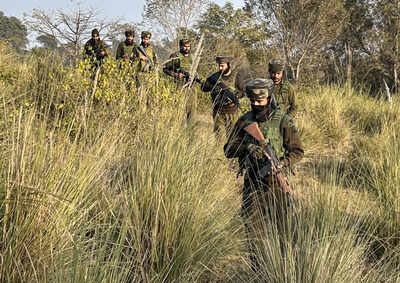 Two suspects detained in Samba; searches launched in Udhampur | India News