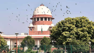 ‘Don’t trust anyone’: SC cautions the young against pre-marital sex | India News