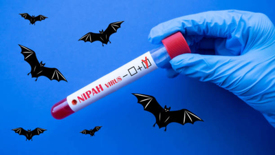Nipah Virus: Woman who survived Nipah infection dies due to cardiac arrest |