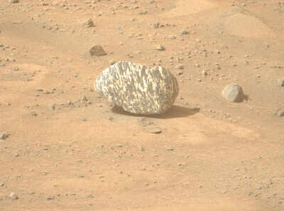 Zebra rock found by NASA may reveal new clues about Mars geology |