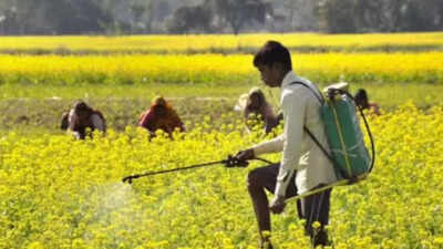 Shift from traditional to technology-driven farming – UP sees surge in agricultural productivity | India News
