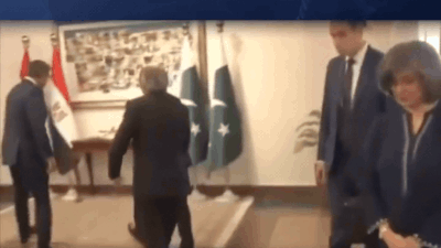 Pakistan deputy PM Ishaq Dhar falls while welcoming Egyptian FM to Middle East peace talks, video goes viral