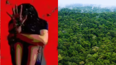 ‘He diverted onto another road’: Delhi tourist spends night hiding in Nainital forest after rape bid by taxi driver | Dehradun News