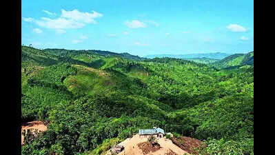 Army called out, Net blocked after 2 killed in violence in run-up to Meghalaya council polls | Guwahati News