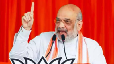 Country never saw such ‘irresponsible oppn’: Amit Shah | India News