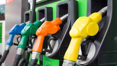 Govt cuts excise duty to Rs 3 a litre on petrol, to nil on diesel amid Middle East tensions