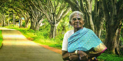 The story of a poor woman who planted 384 banyan trees along a highway and then….