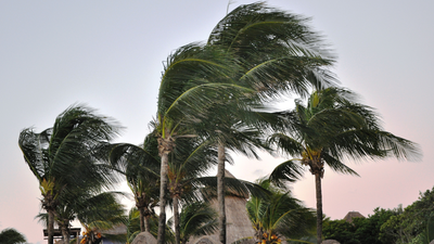 Saudi Arabia Weather Alert: Saudi Arabia weather alert: NCM warns of rain, strong winds and low visibility across several regions