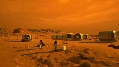 Are there insects and reptiles on Mars? What the research actually says |