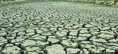 El Nino may hit India’s monsoon, hotter months ahead, says WMO | India News