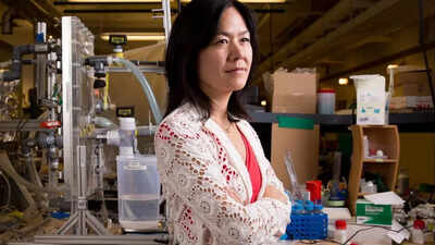 Meet Evelyn N. Wang: The scientist who wants to make every home produce its own water |