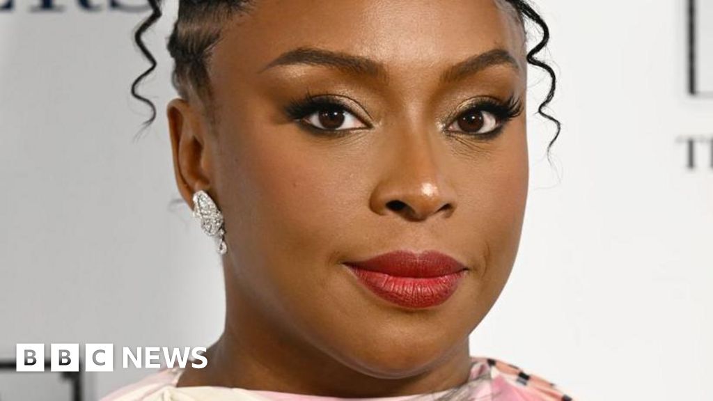 Nigerian doctors suspended over death of Adichie's son