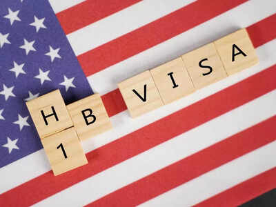 Government in Parliament on introduction of bill related to H-1B, L-1 visa in US Senate: Bill seeks to amend Immigration and Nationality Act to …