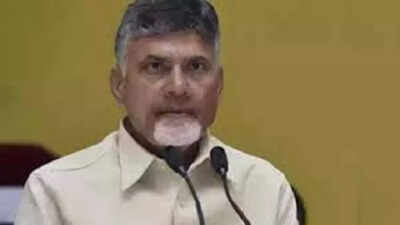 Rs 25k for 3rd child: Andhra Pradesh unveils India’s first draft population management policy | Vijayawada News