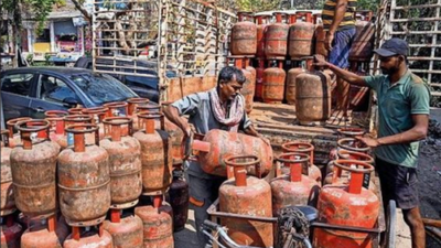 Go for piped natural gas, ease strain on domestic LPG: Govt | India News
