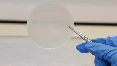 Plastic from milk? Scientists create eco-friendly plastic that decomposes in just 13 weeks |