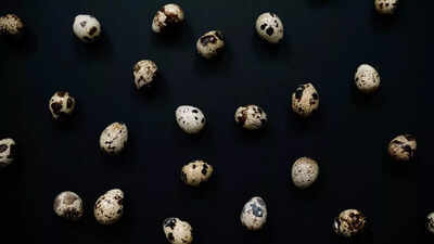 Scientists uncover ‘space glass’ in Brazil linked to a 6-million-year-old meteorite impact |