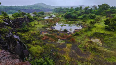 The birder who refuses to let a hill disappear in Pune: How a quiet community of birdwatchers continue to save Pune’s highest hill |