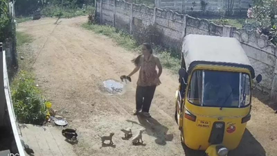In rage after neighbour hurt her son, Trichy woman hurls puppies against wall; 2 die | Trichy News
