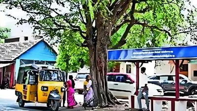 A village that rejects freebies & doesn’t allow political advertisements | India News