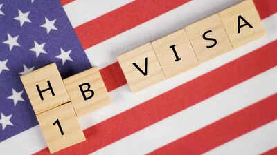 ‘Not just drugs and thugs anymore’: Immigration attorney says H-1B employers getting intense investigations from Labor Department