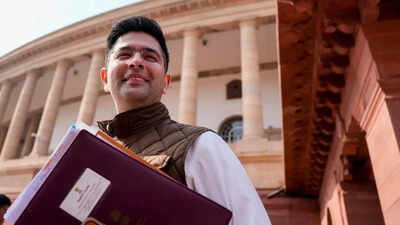 Raghav Chadha: From AAP’s polished young face to Punjab fadeout: Raghav Chadha’s diminishing clout | Chandigarh News